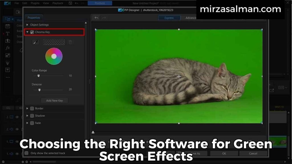 Choosing the Right Software for Green Screen Effects